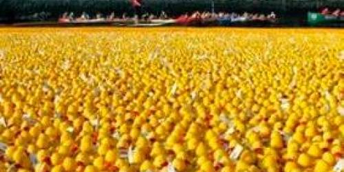 La ría de Bilbao se llena de Patos Solidarios.